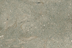 TL12308-l
