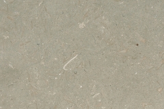 TL12366-l