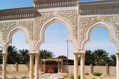 photo8